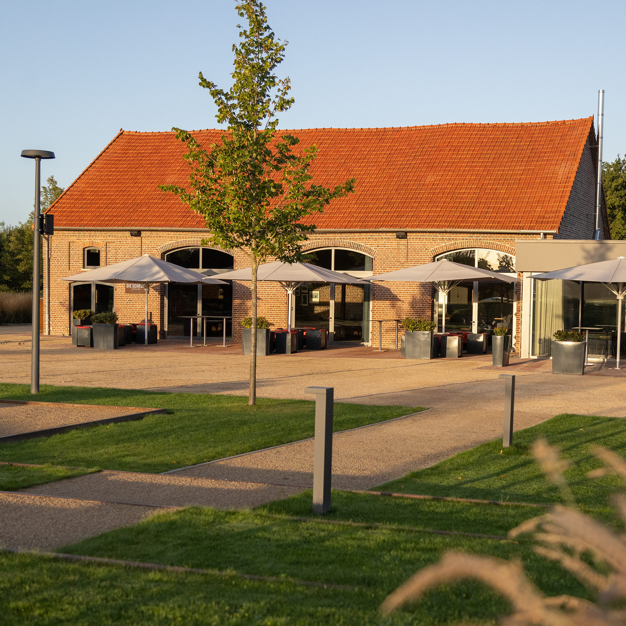 Terasse mit Sonnenschirmen und Blumentöpfen